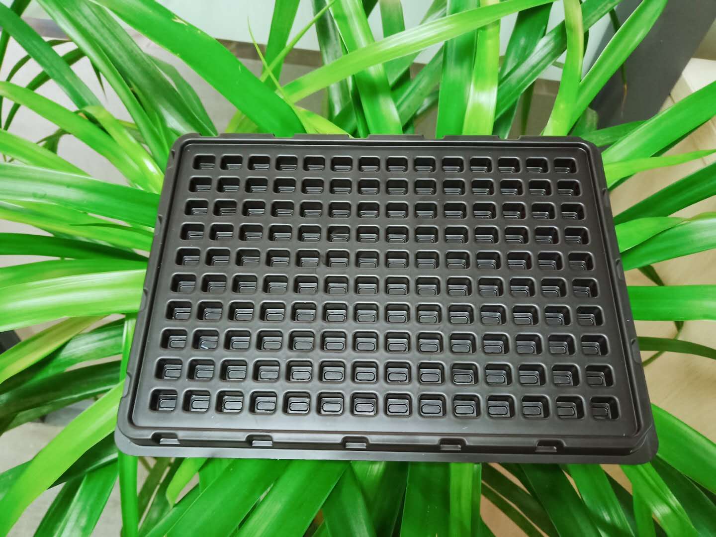 吸塑托盘原料